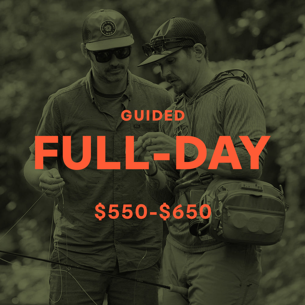 Guided Full-day