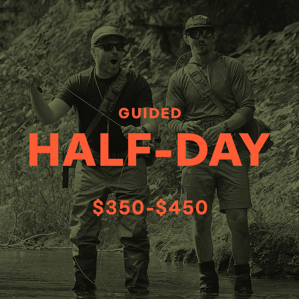 Guided Half-day