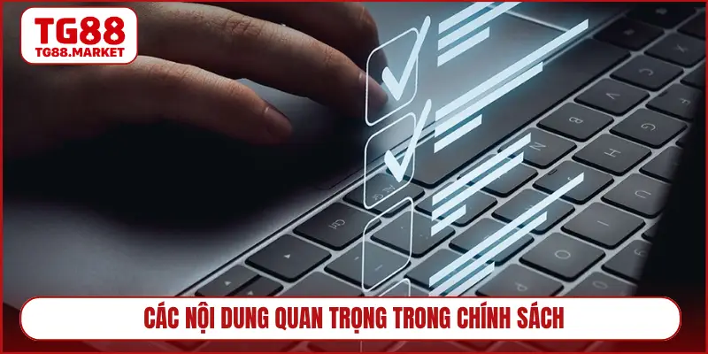 Các nội dung quan trọng trong chính sách