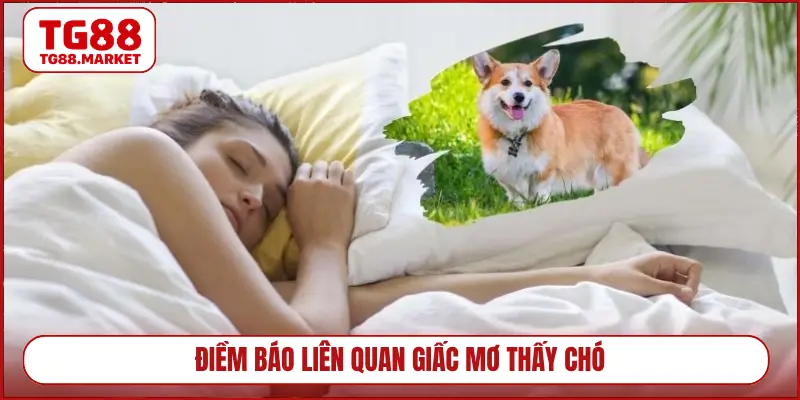 Điềm báo liên quan giấc mơ thấy chó