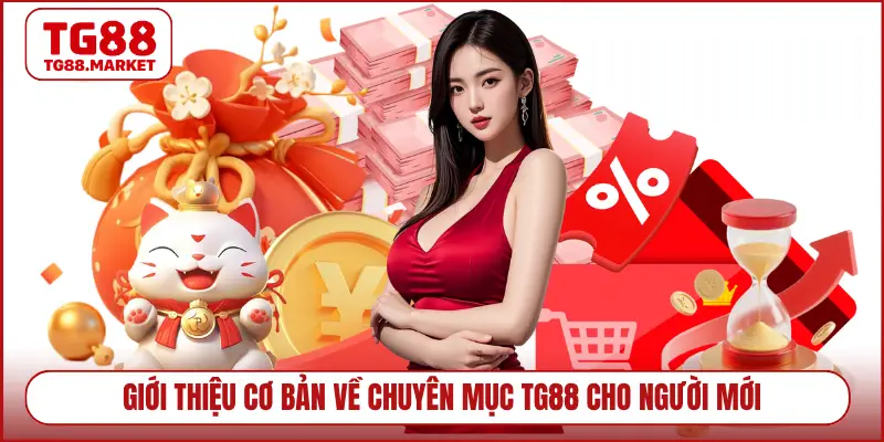 Giới thiệu cơ bản về chuyên mục TG88 cho người mới