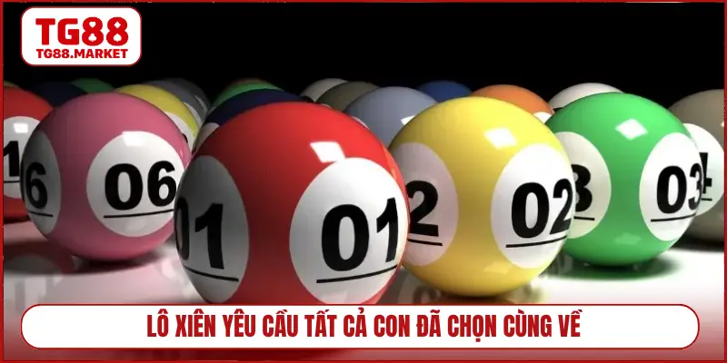 Lô xiên yêu cầu tất cả con đã chọn cùng về