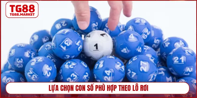 Lựa chọn con số phù hợp theo lô rơi