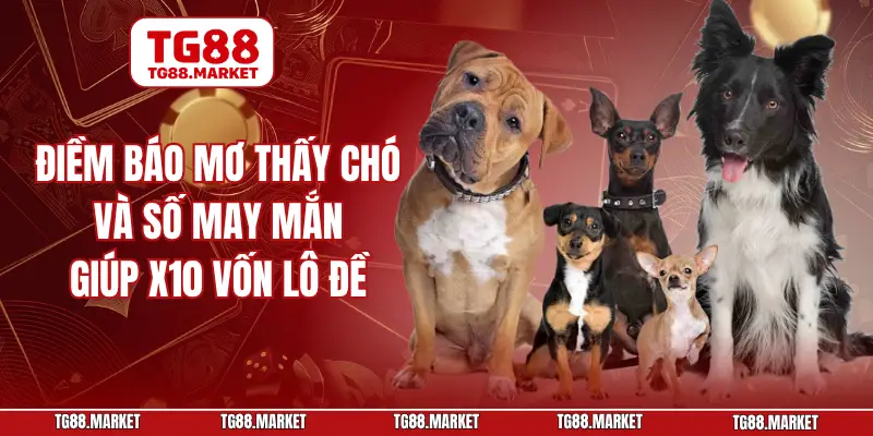 Điềm Báo Mơ Thấy Chó Và Số May Mắn Giúp X10 Vốn Lô Đề