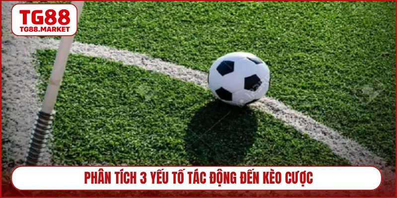 Phân tích 3 yếu tố tác động đến kèo cược